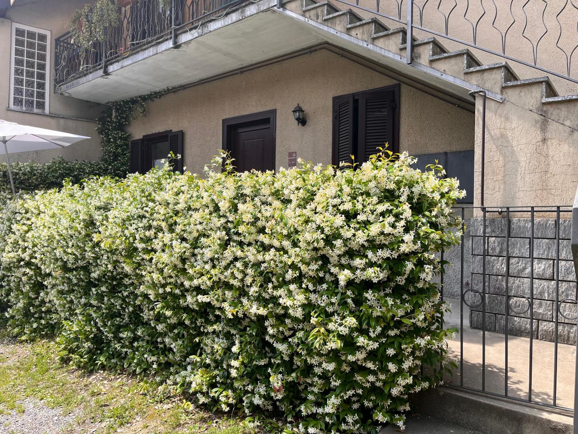 Il Cortile Como Single & Double Room In Apartment No Hotel Exterior photo